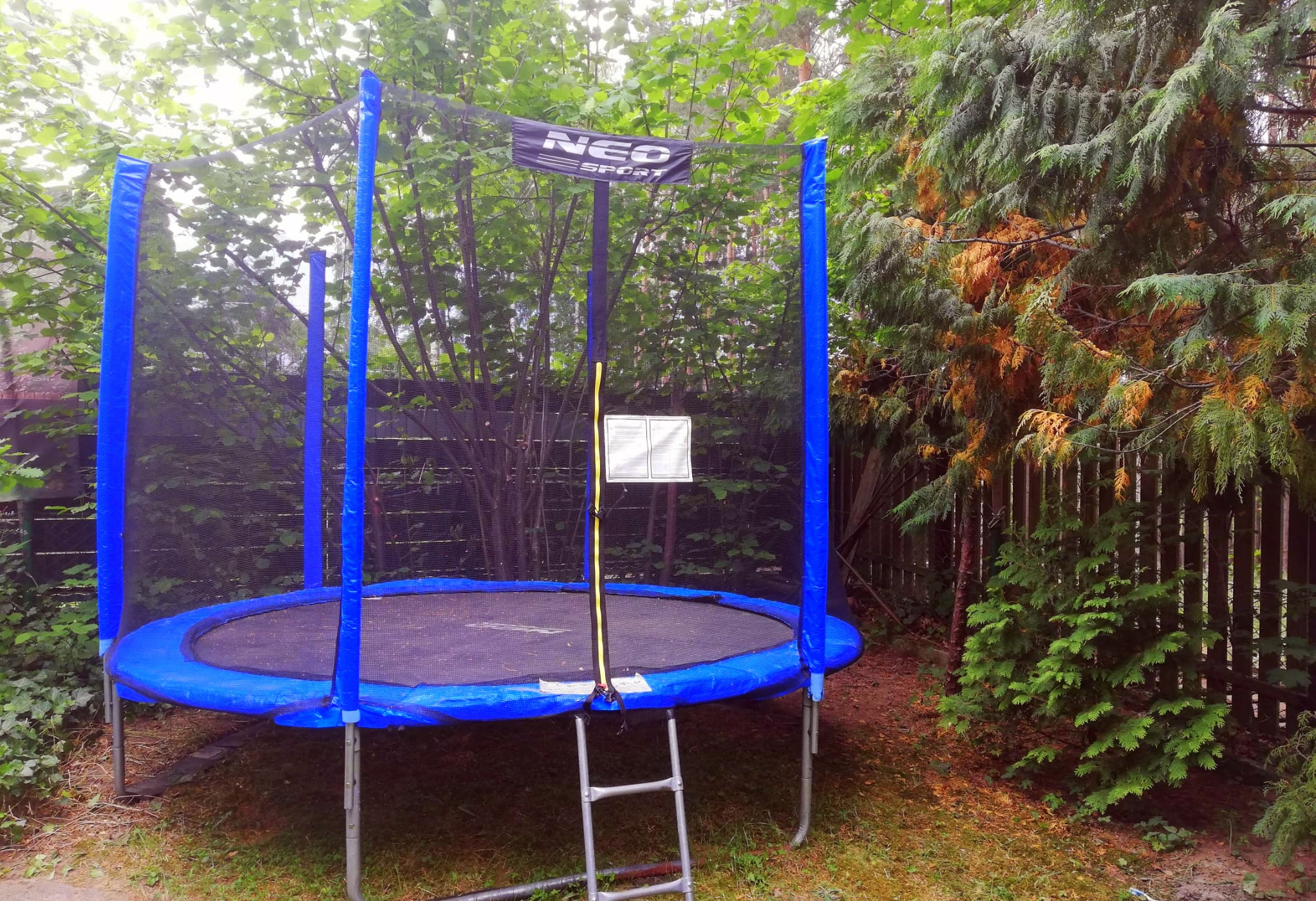 trampolina 2026-06-09jpeg - 